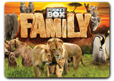 Pocket Box Family 